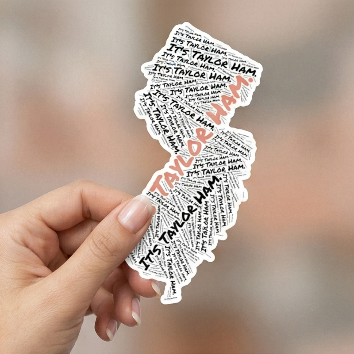 It’s Taylor Ham NJ Map Sticker • Jersey Word Map Art • North Jersey Food Debate