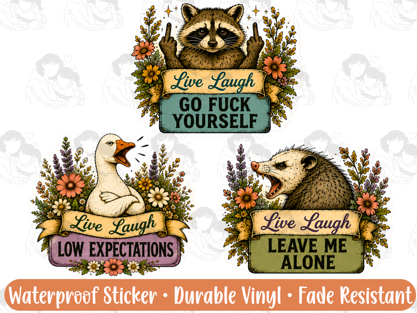 Live Laugh Leave Me Alone Sticker Pack | Funny Raccoon & Goose Vinyl Decals